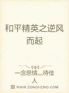 ��ƽ��Ӣ֮������